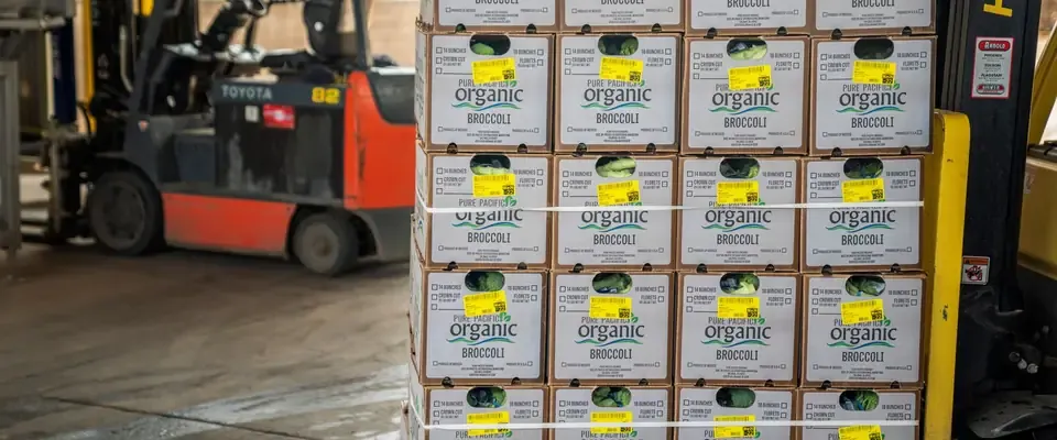Pallets of boxed produce ready for shipment in a warehouse